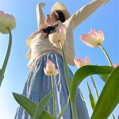 山菊花